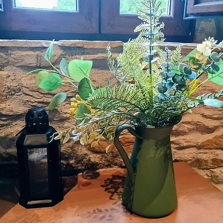 Casa Pinera Cudillero Villademar