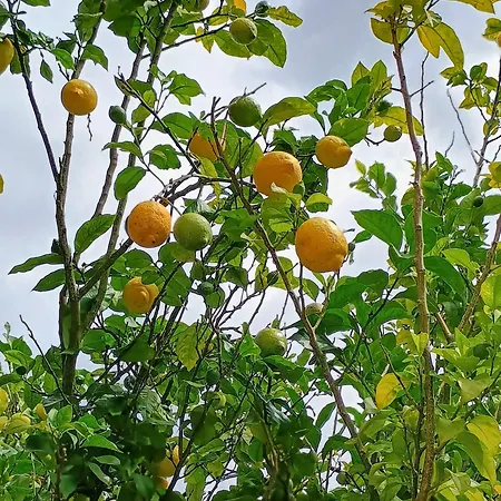 Casa Pinera Cudillero * Villademar